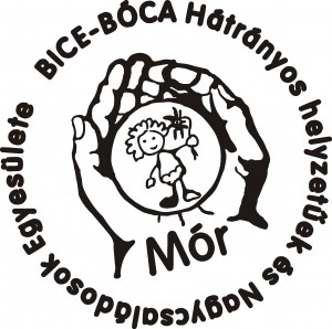 BICE-BOCA_logo_mor